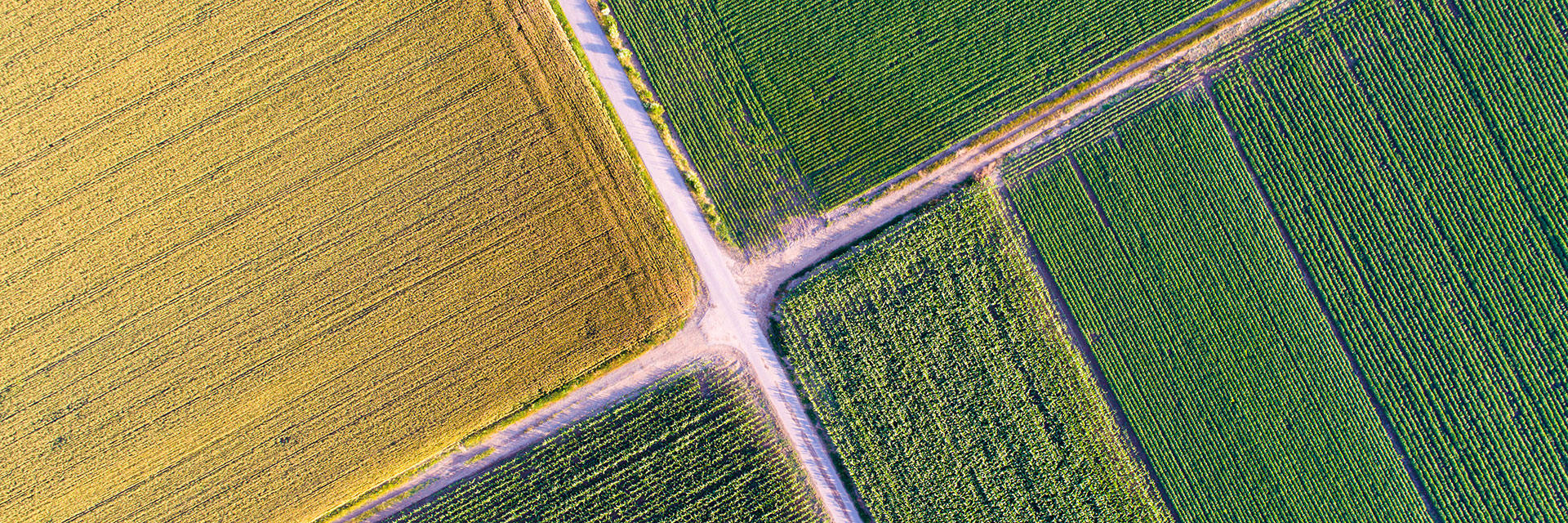 Draufsicht auf die landwirtschaftlichen Parzellen