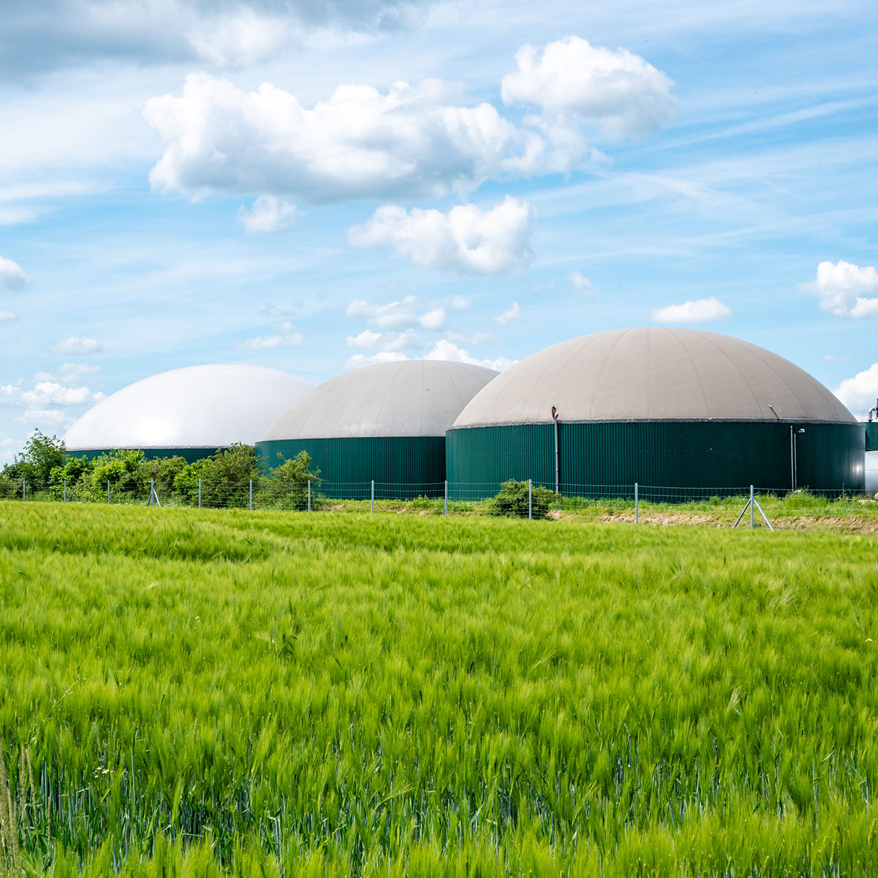 Biogasanlage in Deutschland mit Getreidefeld